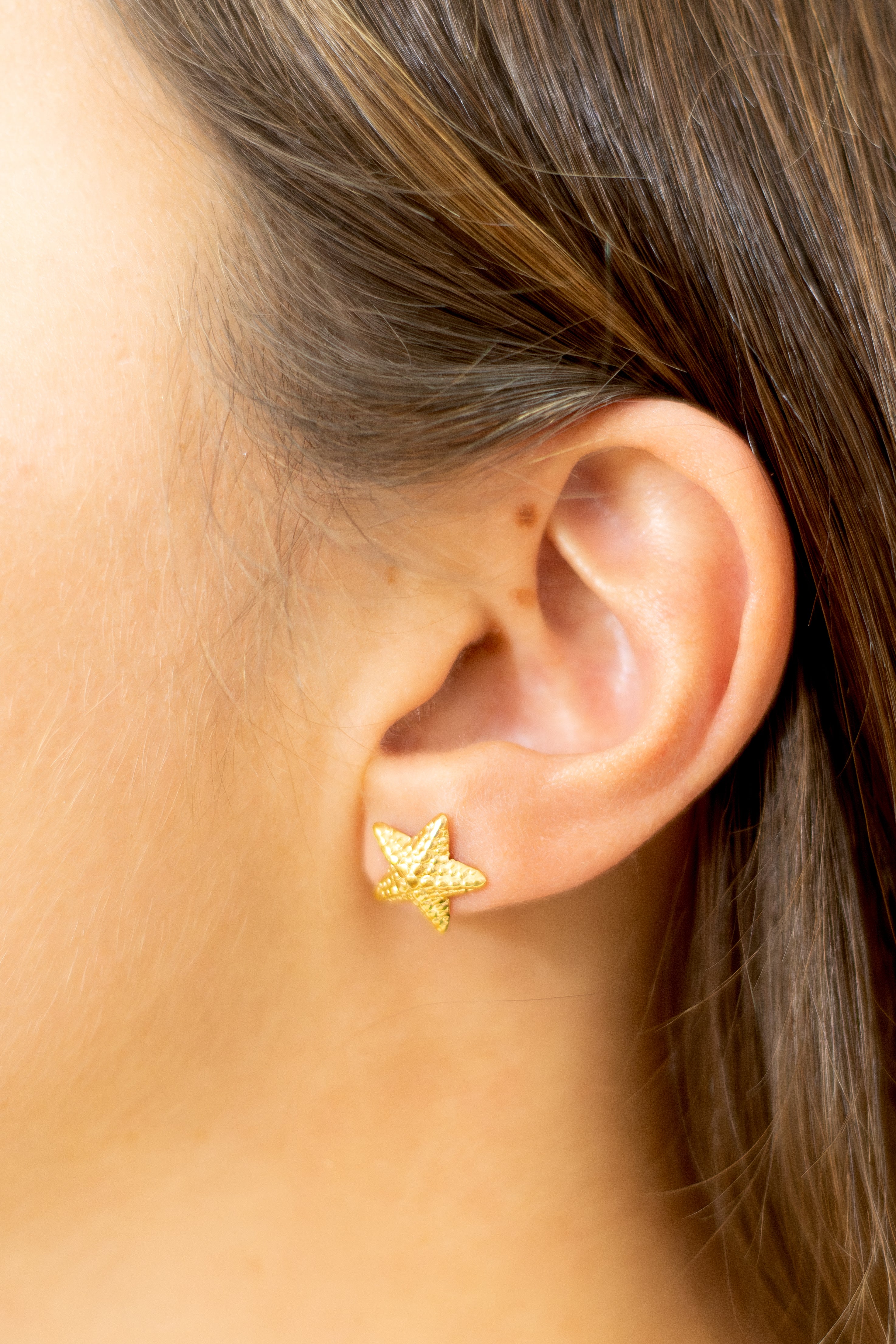 Brincos mini estrela do mar